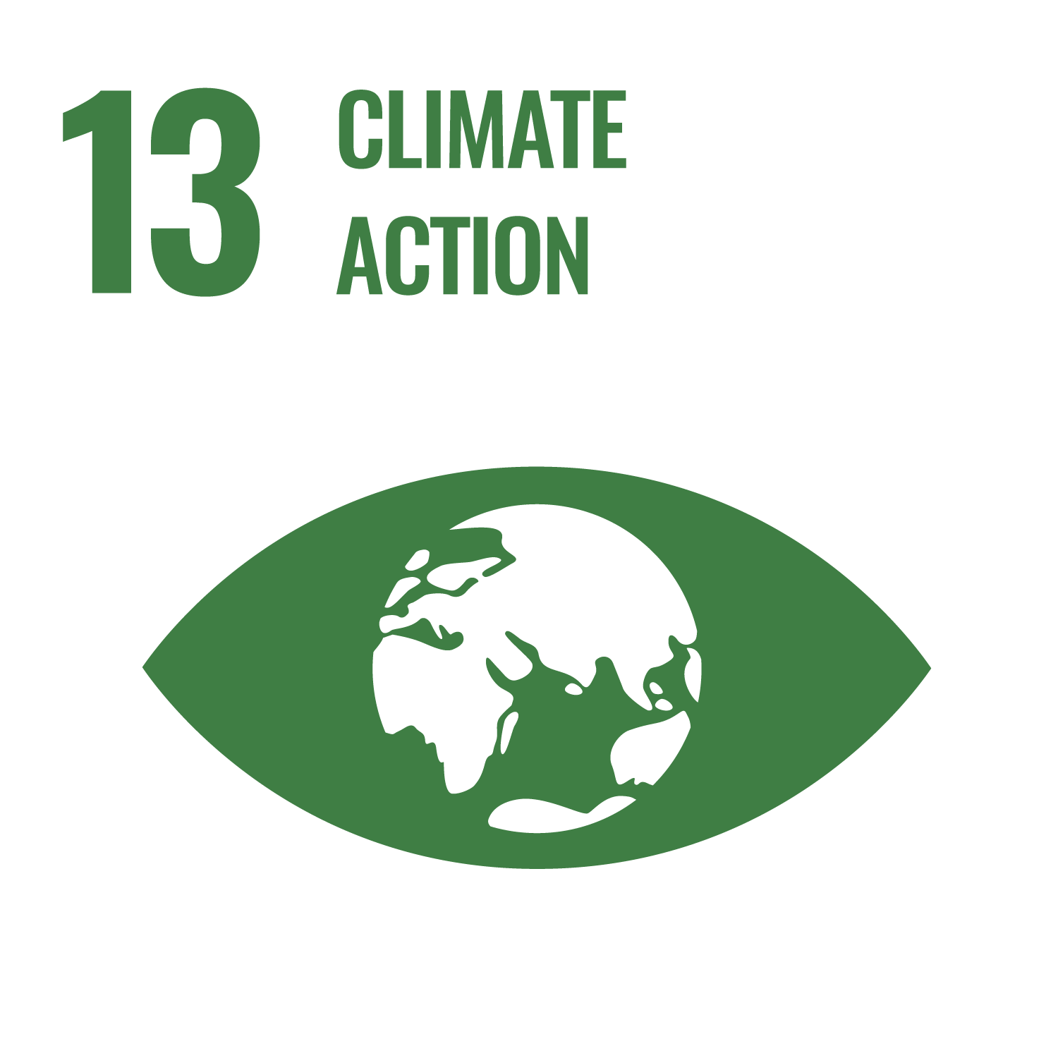 SDG Icon 13
