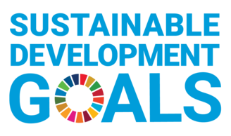 SDG logo
