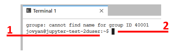 Terminal interface screenshot.
