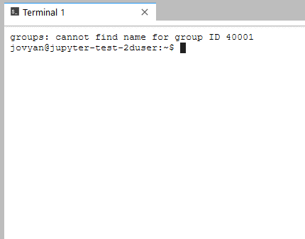 The DE Africa Sandbox Jupyterlab terminal.